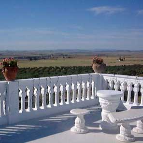Autres photos. Cliquez ici pour découvrir la terrasse et la vue.